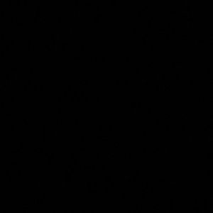 Meet your Posher, Genesis